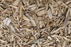biomass boilers Conlig